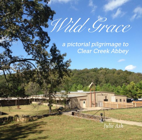 Link to purchase Wild Grace: a pictorial pilgrimage to Clear Creek Abbey